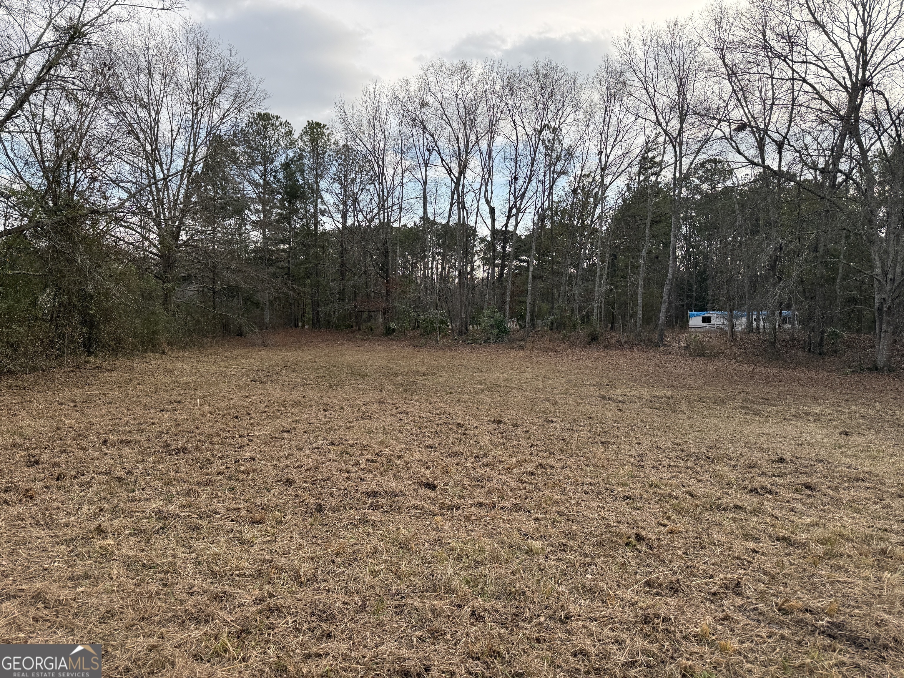 2.83-acres Williams Road Shiloh, GA 31826 - Photo 13 of 22