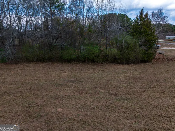 $43,900 | 2.83-acres Williams Road, Shiloh, GA 31826