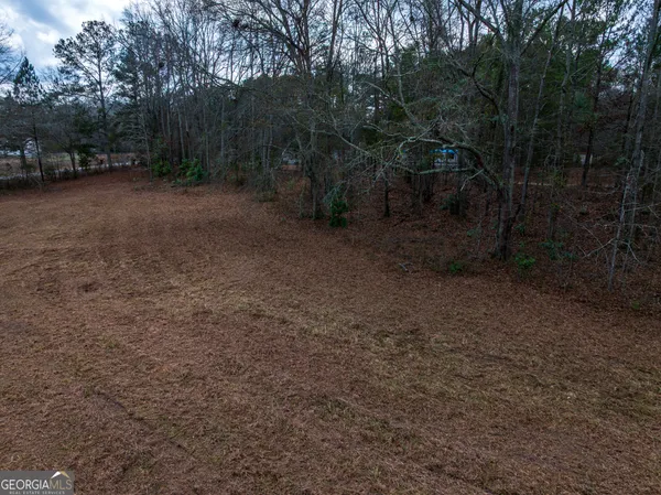 $43,900 | 2.83-acres Williams Road, Shiloh, GA 31826