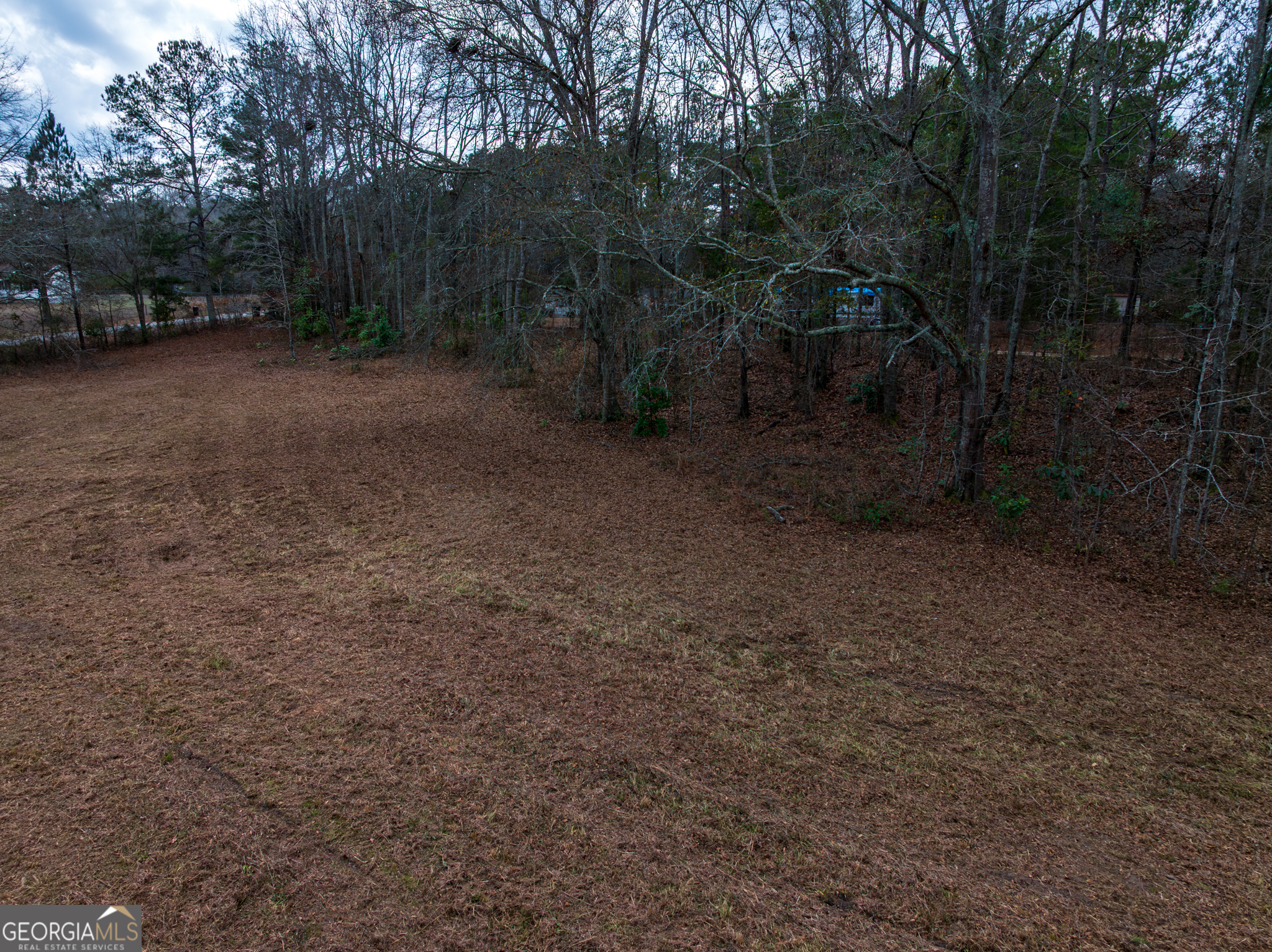 2.83-acres Williams Road Shiloh, GA 31826 - Photo 15 of 22