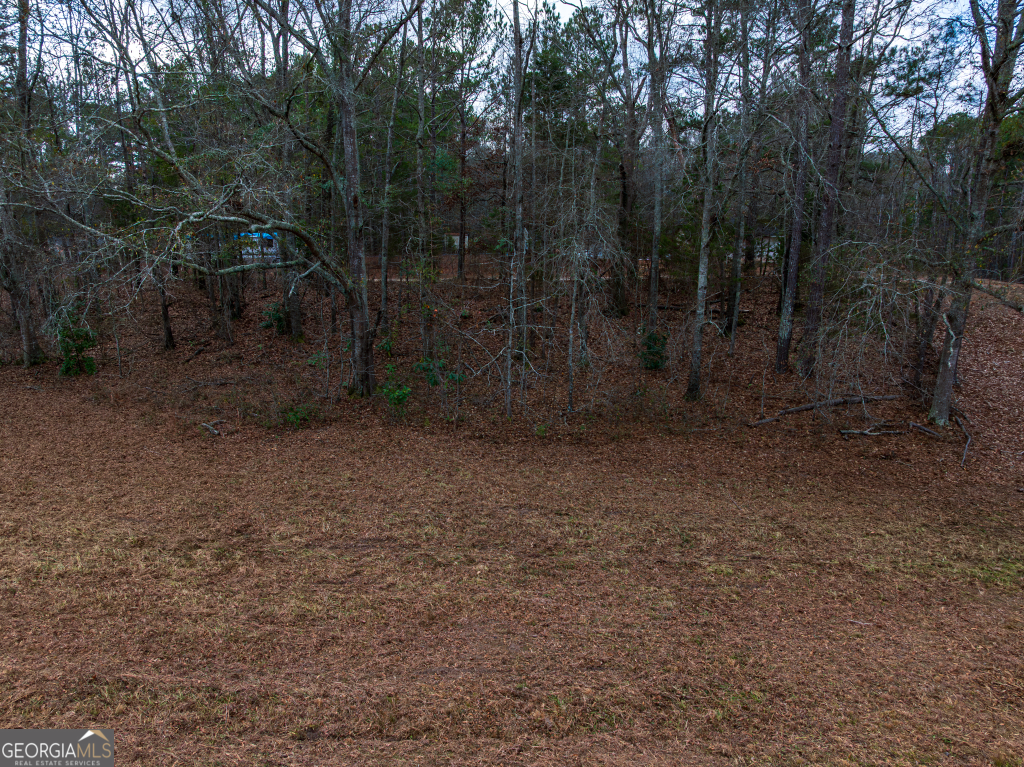 2.83-acres Williams Road Shiloh, GA 31826 - Photo 16 of 22