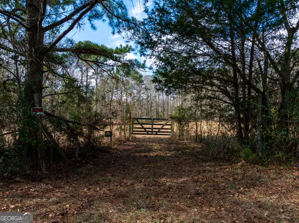 $43,900 | 2.83-acres Williams Road, Shiloh, GA 31826