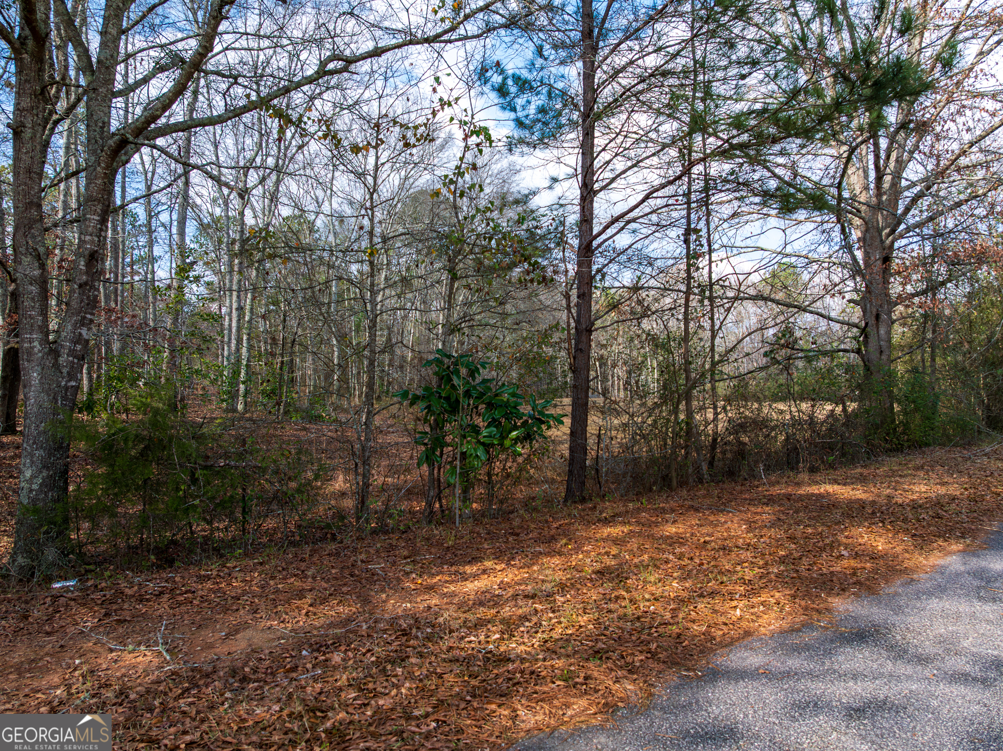 2.83-acres Williams Road Shiloh, GA 31826 - Photo 18 of 22