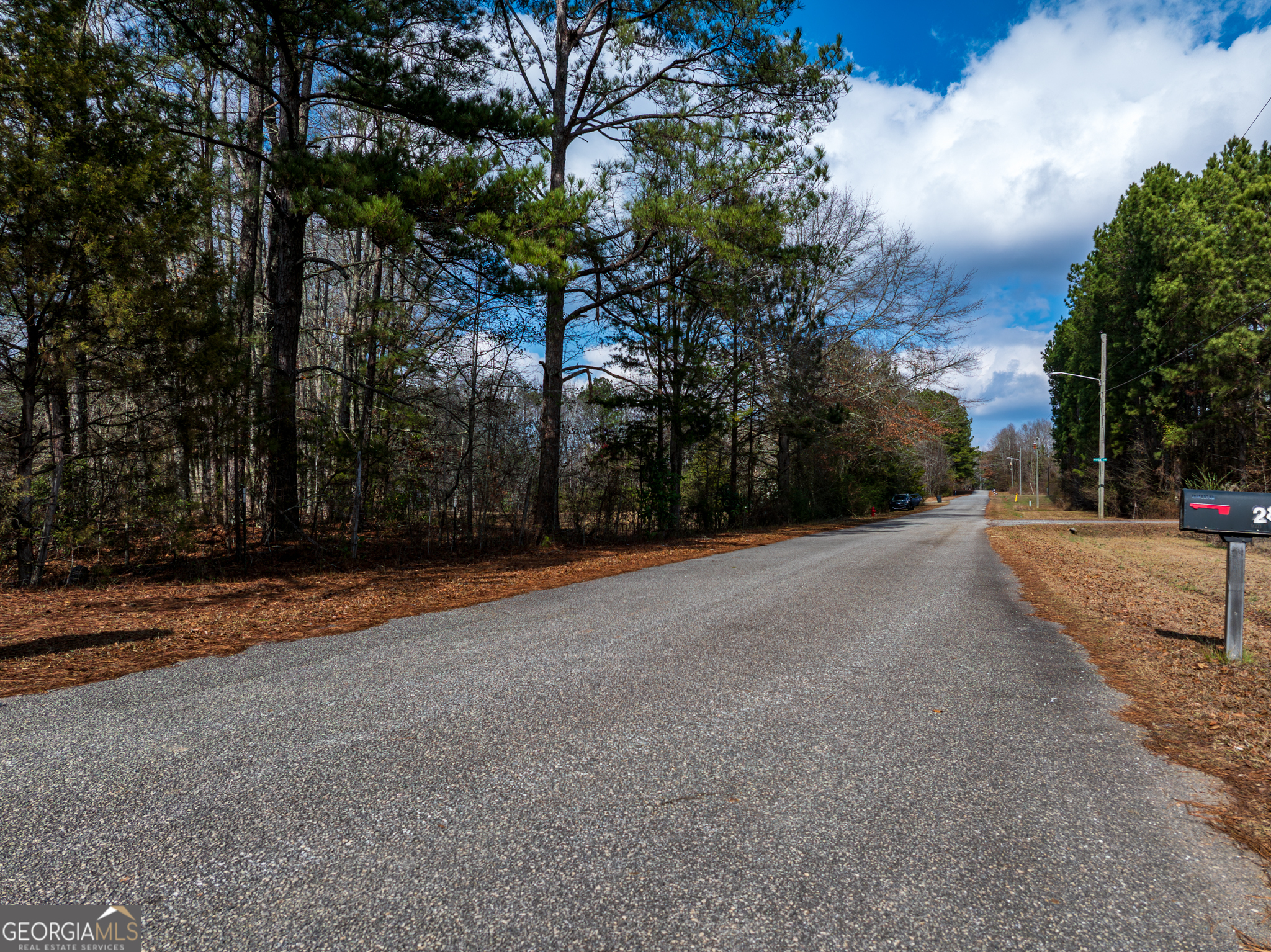 2.83-acres Williams Road Shiloh, GA 31826 - Photo 19 of 22