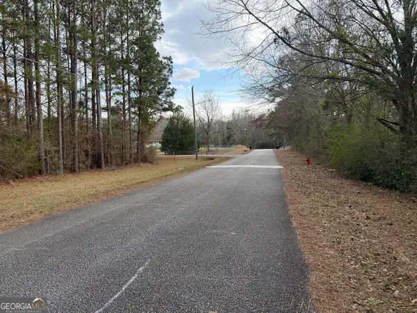 $43,900 | 2.83-acres Williams Road, Shiloh, GA 31826