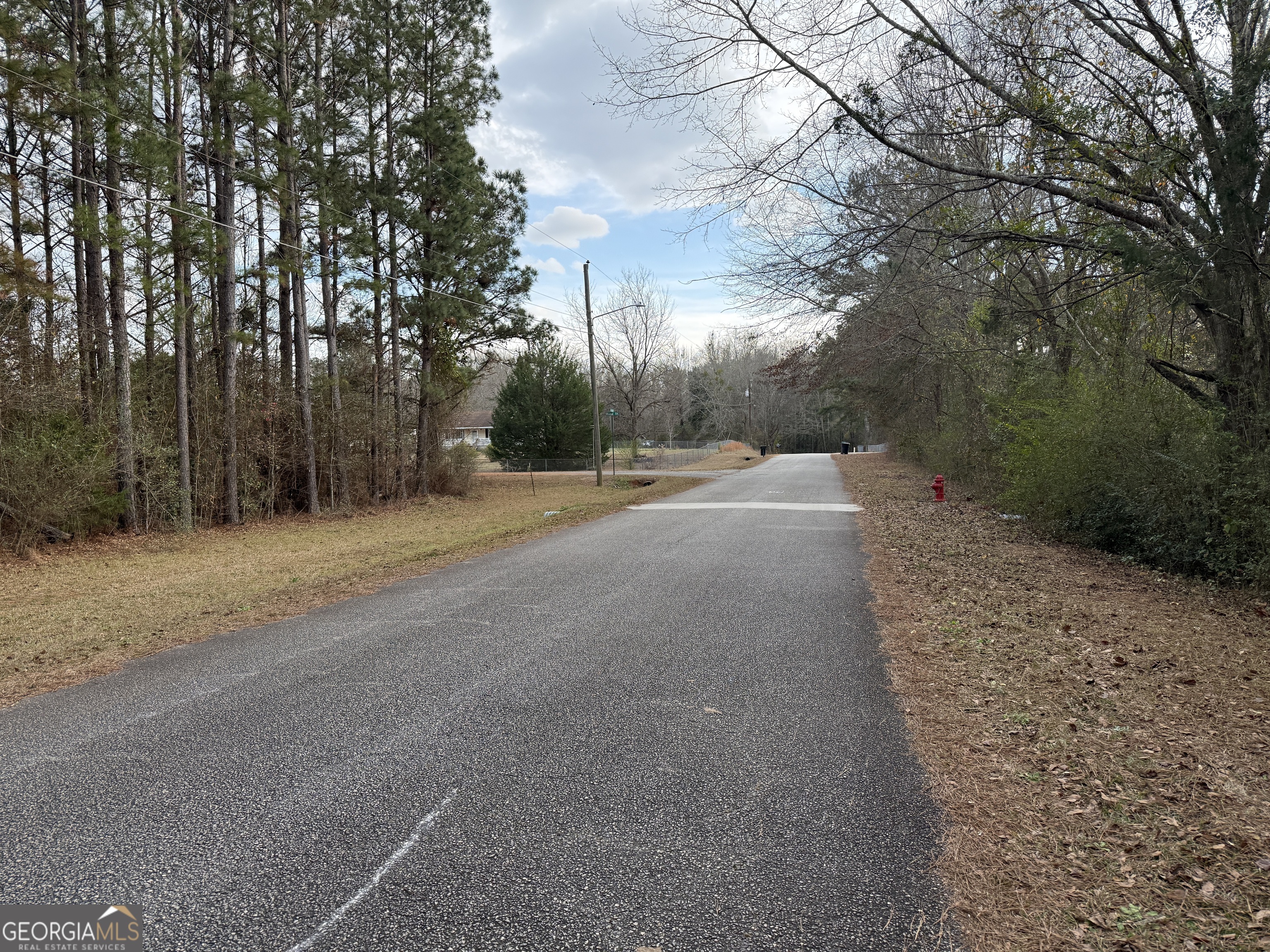 2.83-acres Williams Road Shiloh, GA 31826 - Photo 21 of 22