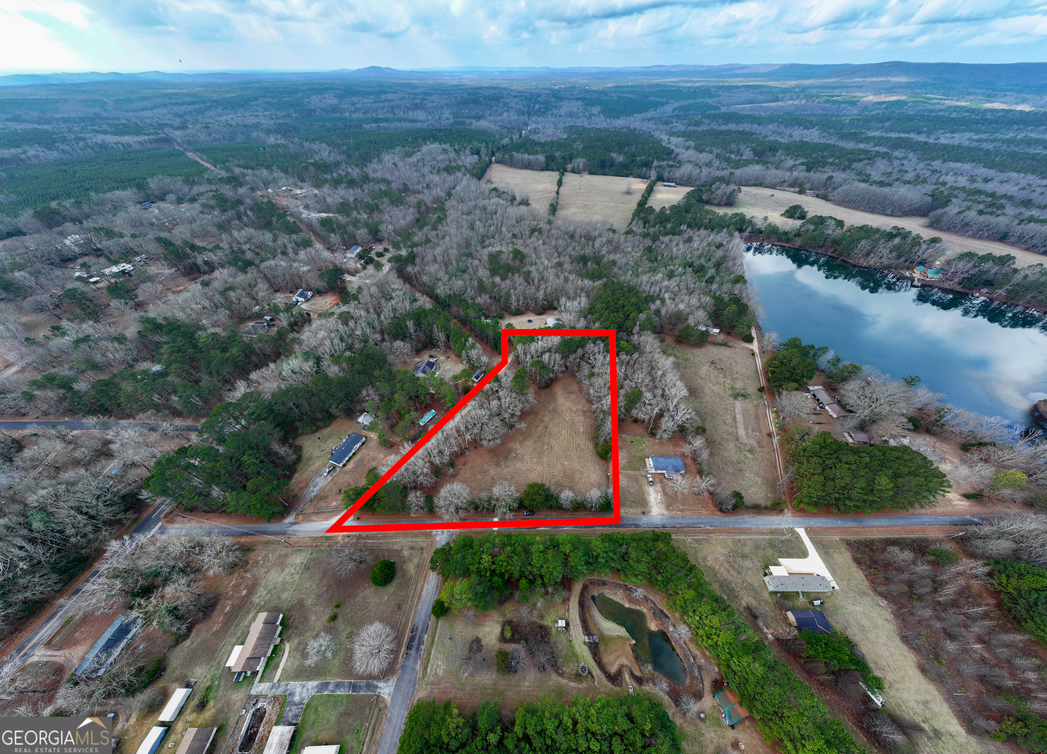 2.83-acres Williams Road Shiloh, GA 31826 - Photo 3 of 22