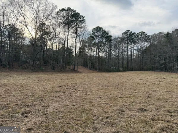 $43,900 | 2.83-acres Williams Road, Shiloh, GA 31826