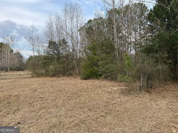 $43,900 | 2.83-acres Williams Road, Shiloh, GA 31826