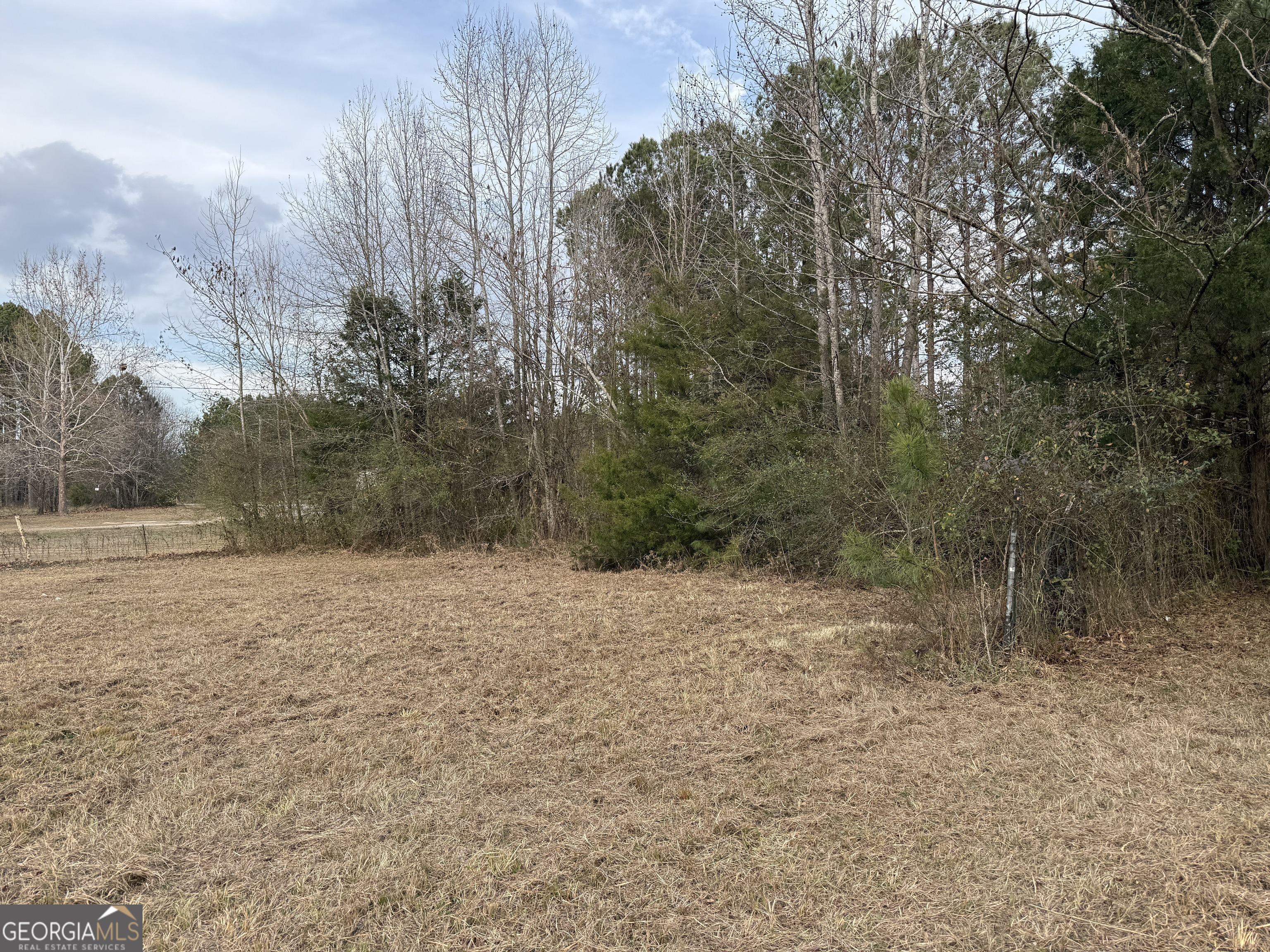 2.83-acres Williams Road Shiloh, GA 31826 - Photo 9 of 22