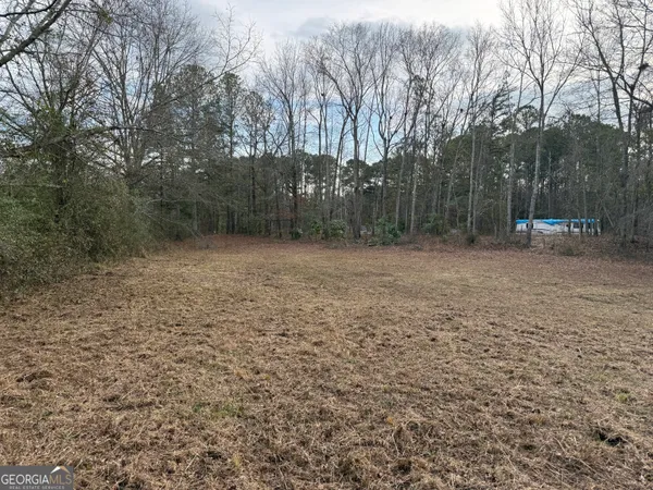 $43,900 | 2.83-acres Williams Road, Shiloh, GA 31826