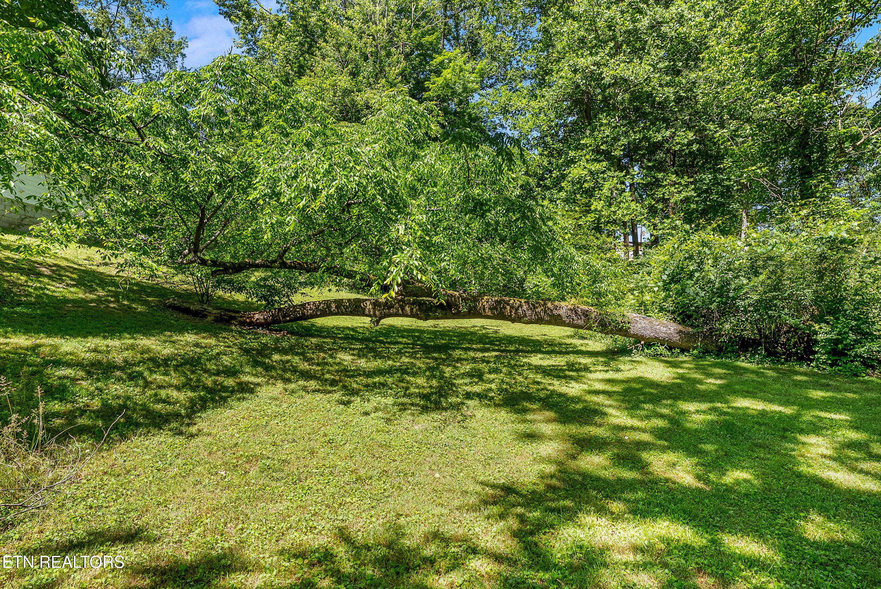 103 Loyola Lane Oak Ridge, TN 37830 - Photo 34 of 36 35-Backyard A5