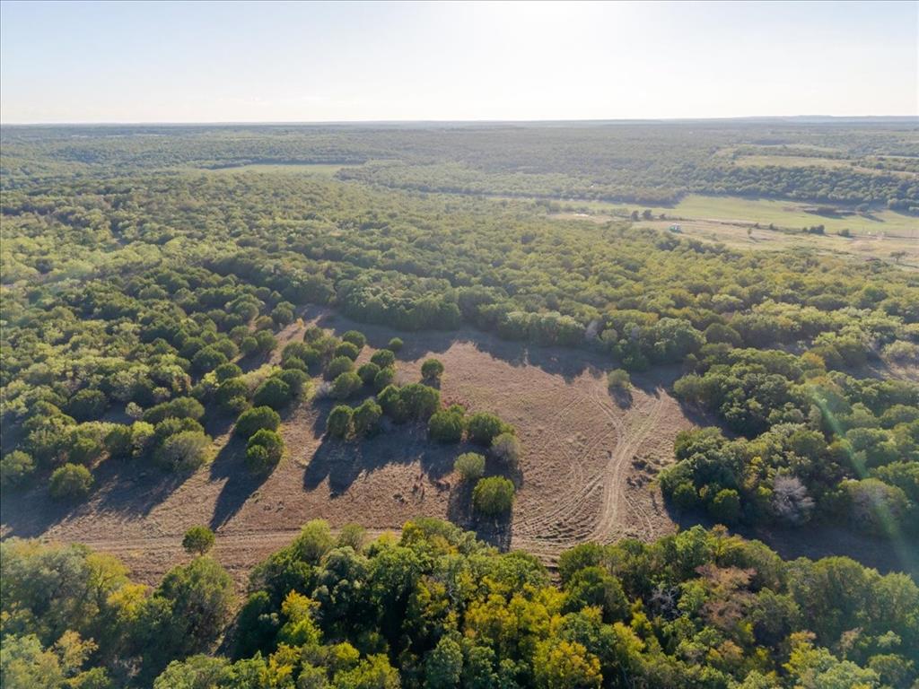 1674 Ming Bend Road Graham, TX 76450 - Photo 34 of 40 Expansive land featuring diverse tree coverage, open clearings, and a distant field
