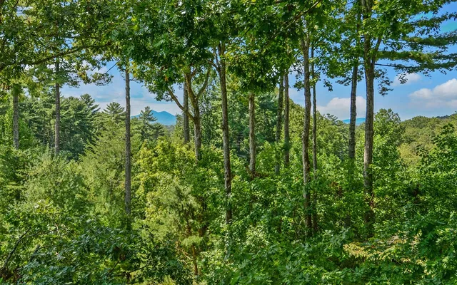 $859,900 | 102 Summit Way, Blairsville, GA 30512