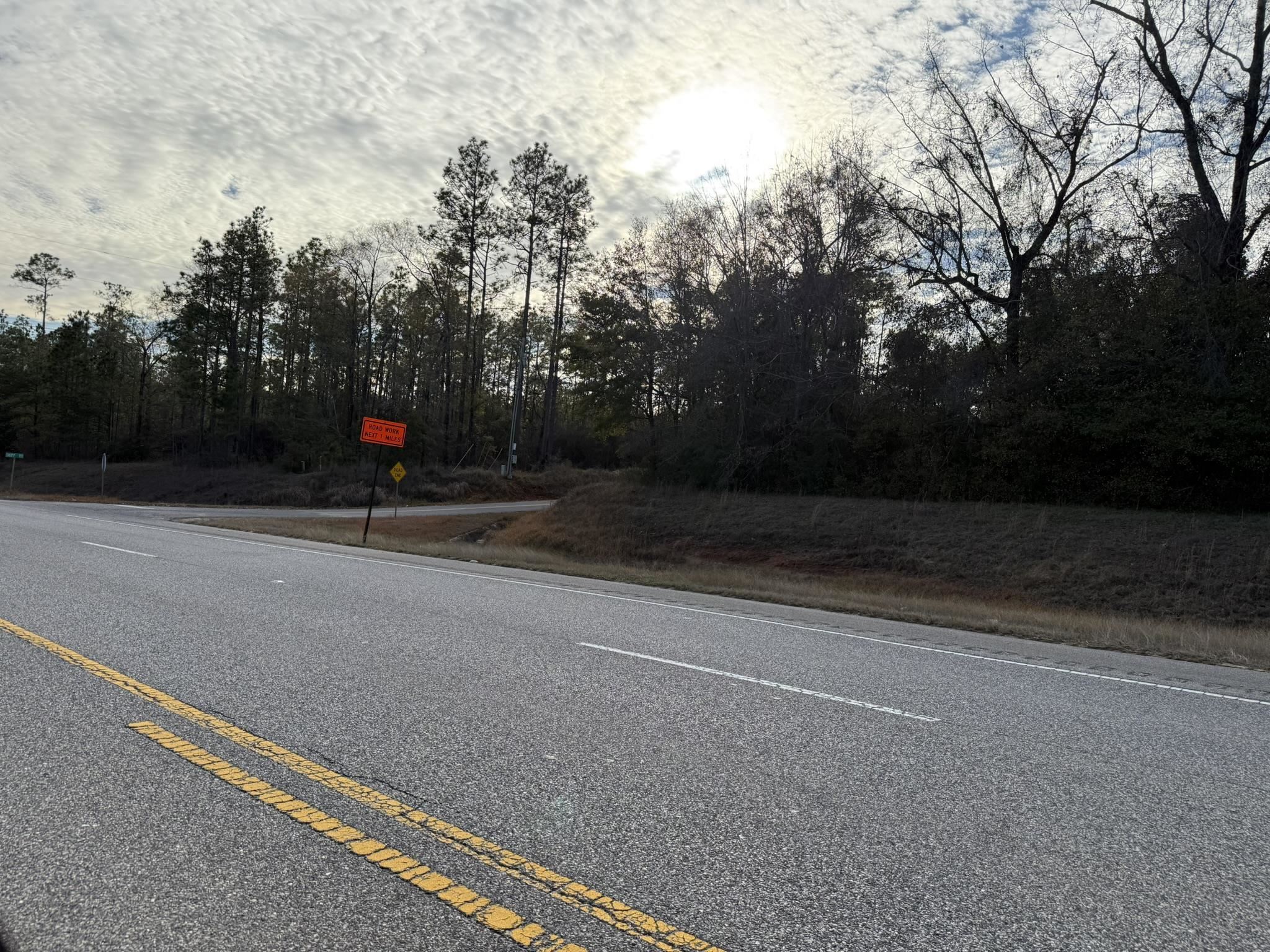 0 Rabun Road Bay Minette, AL 36507 - Photo 6 of 8