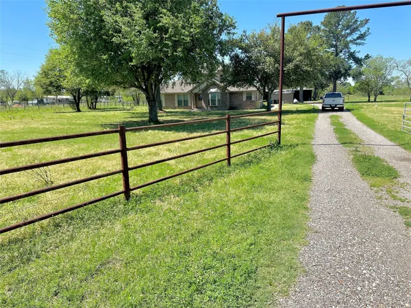 a view of a park with large trees