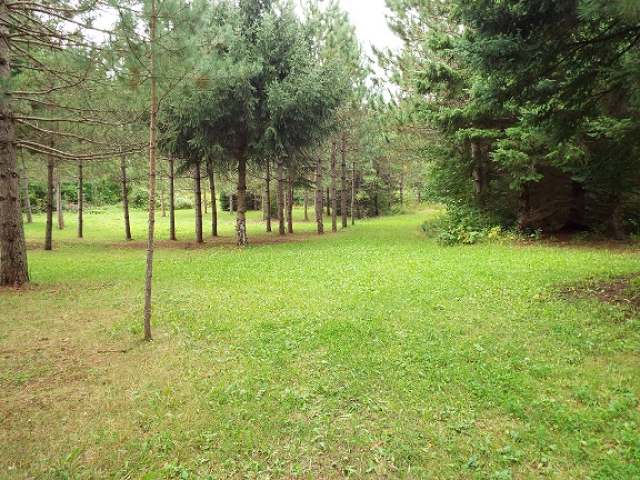 N3612 Combs Road Elton, WI 54430 - Photo 2 of 4 Gallery Image 2