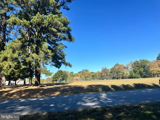 a view of a yard with a tree