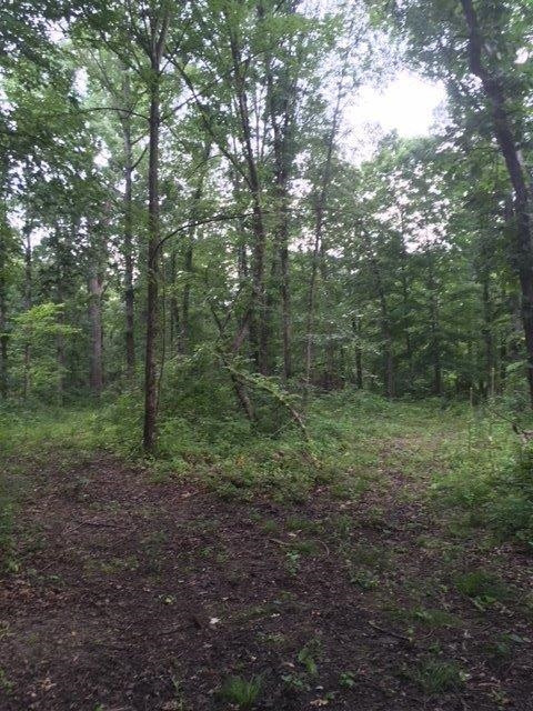 7706 Pingree Road Pinckney, MI 48169 - Photo 9 of 31 Photo 9