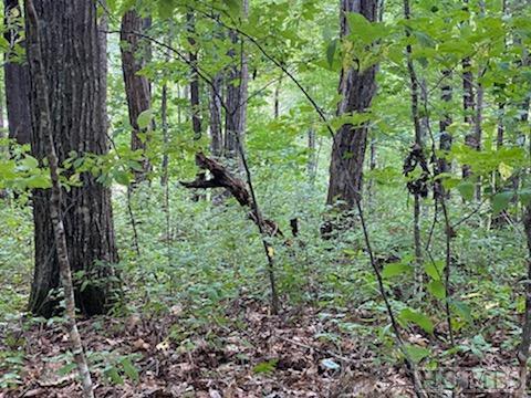 Lot 73 Narrows Road Sapphire, NC 28774 - Photo 1 of 22 Gallery Image 1