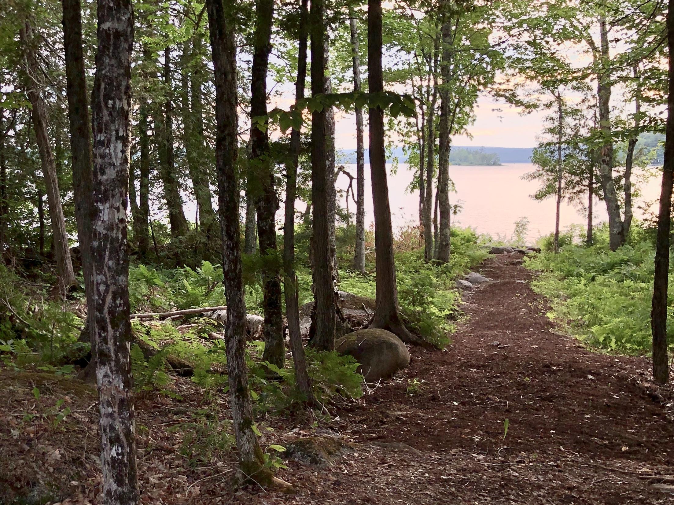 506 Pond Road St. Albans, ME 04971 - Photo 16 of 38 2020-06-27 19.17.34-1