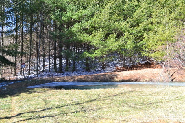 209 Frank Witherspoon Road Jefferson, NC 28640 - Photo 12 of 13 Gallery Image 12