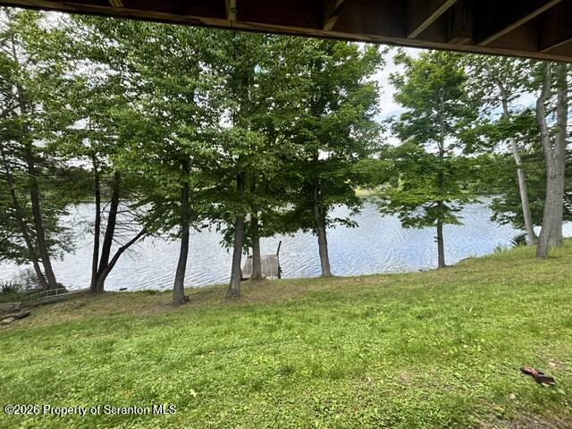 1143 Highway 29 Springville, PA 18844 - Photo 27 of 50 IMG_5795