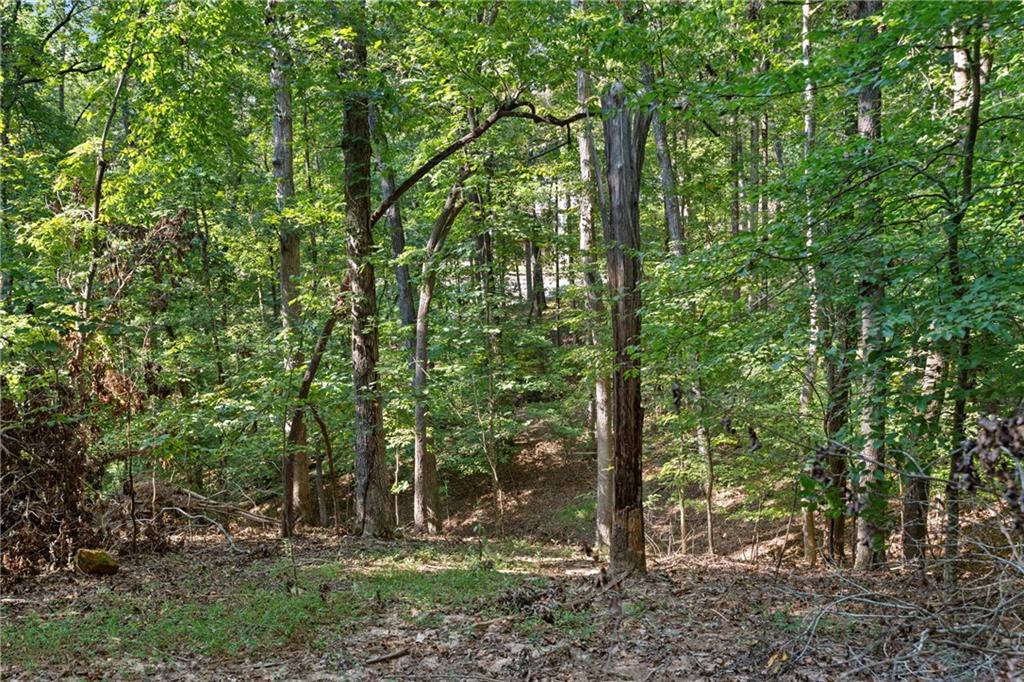 6314 Point Twenty Two Gainesville, GA 30506 - Photo 11 of 23
