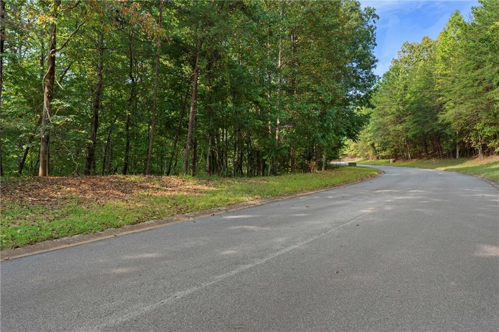 6314 Point Twenty Two Gainesville, GA 30506 - Photo 3 of 23