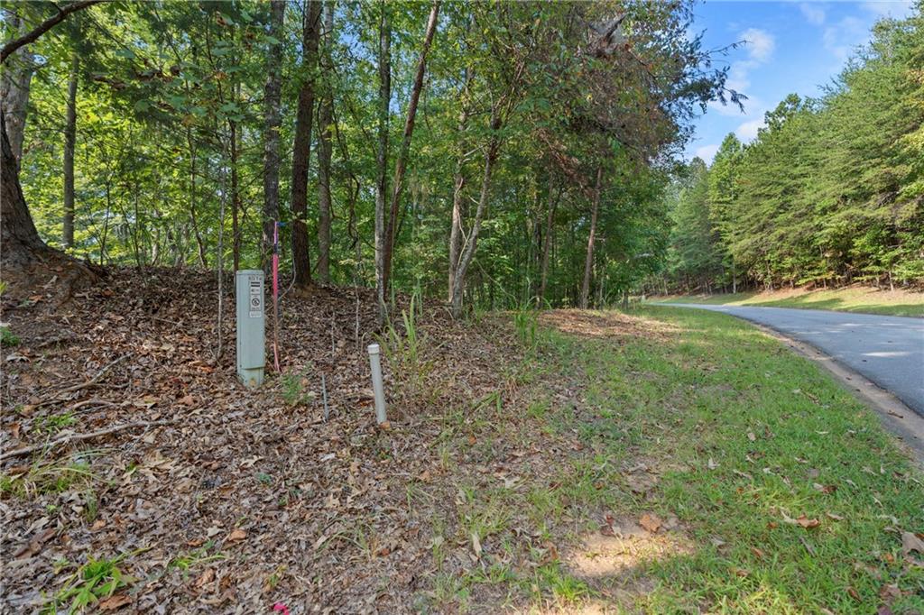 6314 Point Twenty Two Gainesville, GA 30506 - Photo 4 of 23