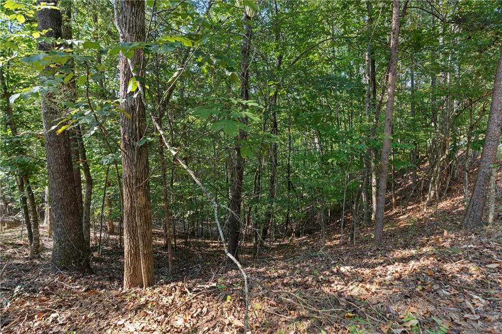 6314 Point Twenty Two Gainesville, GA 30506 - Photo 5 of 23