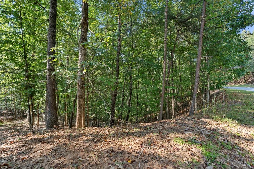 6314 Point Twenty Two Gainesville, GA 30506 - Photo 6 of 23