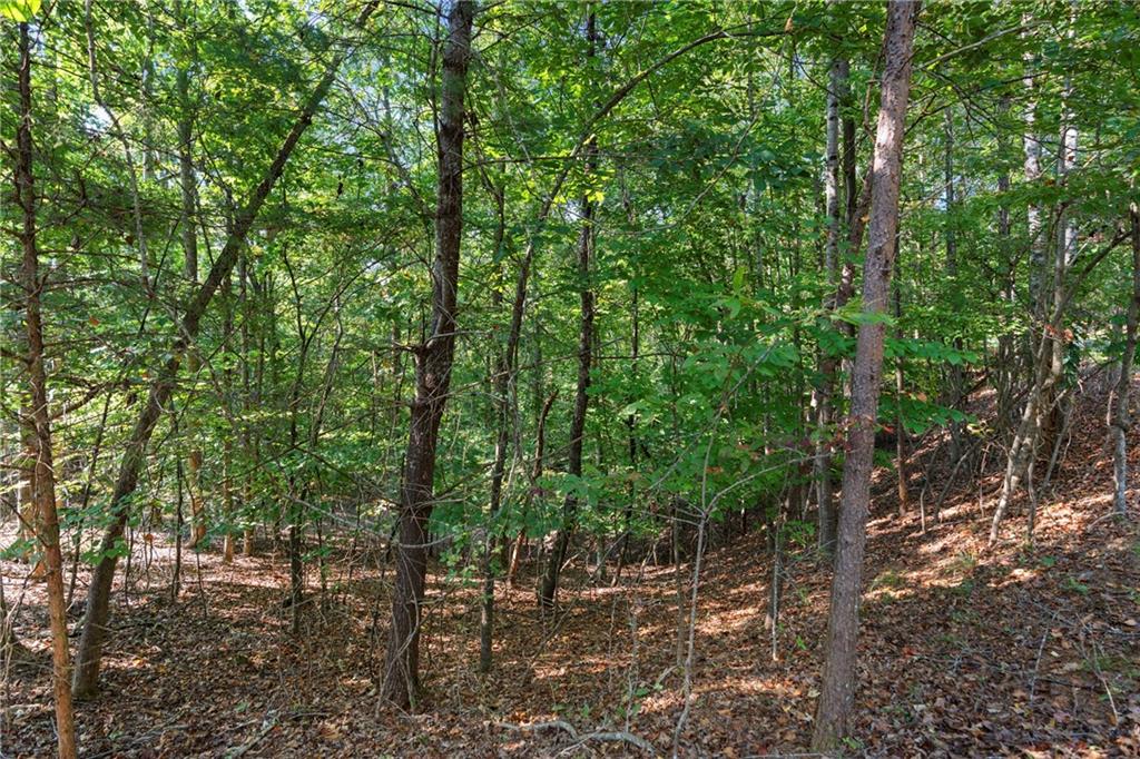 6314 Point Twenty Two Gainesville, GA 30506 - Photo 7 of 23