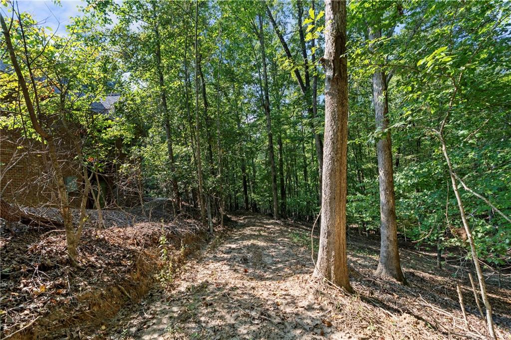 6314 Point Twenty Two Gainesville, GA 30506 - Photo 8 of 23