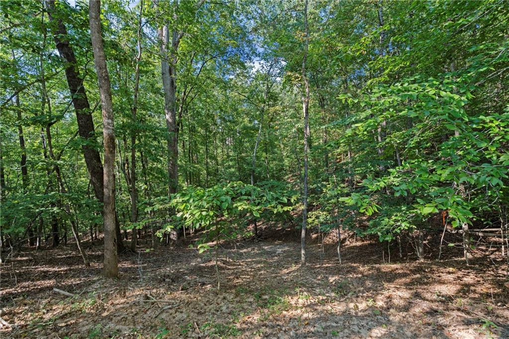 6314 Point Twenty Two Gainesville, GA 30506 - Photo 9 of 23