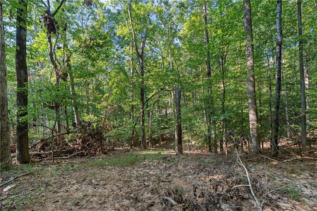 6314 Point Twenty Two Gainesville, GA 30506 - Photo 10 of 23