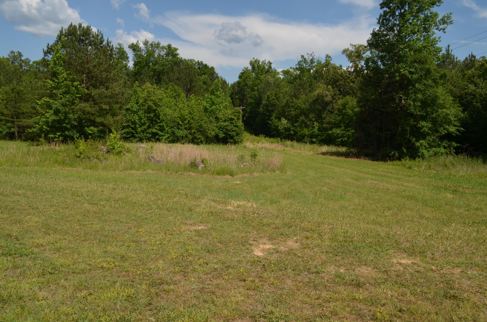393 Busted Rock Road Old Fort, TN 37362 - Photo 42 of 43 Gallery Image 42
