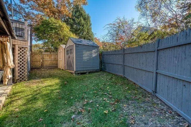 a view of a backyard