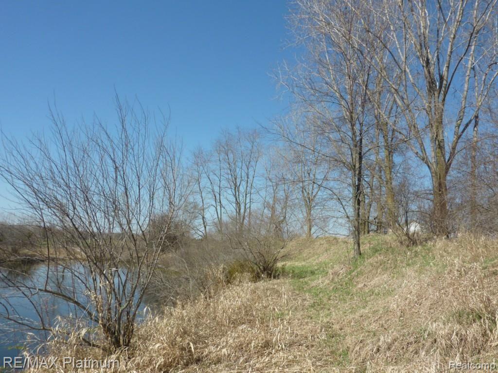 8-acres North Latson Road Howell, MI 48843 - Photo 4 of 5