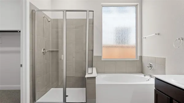 a bathroom with a shower a sink and a mirror