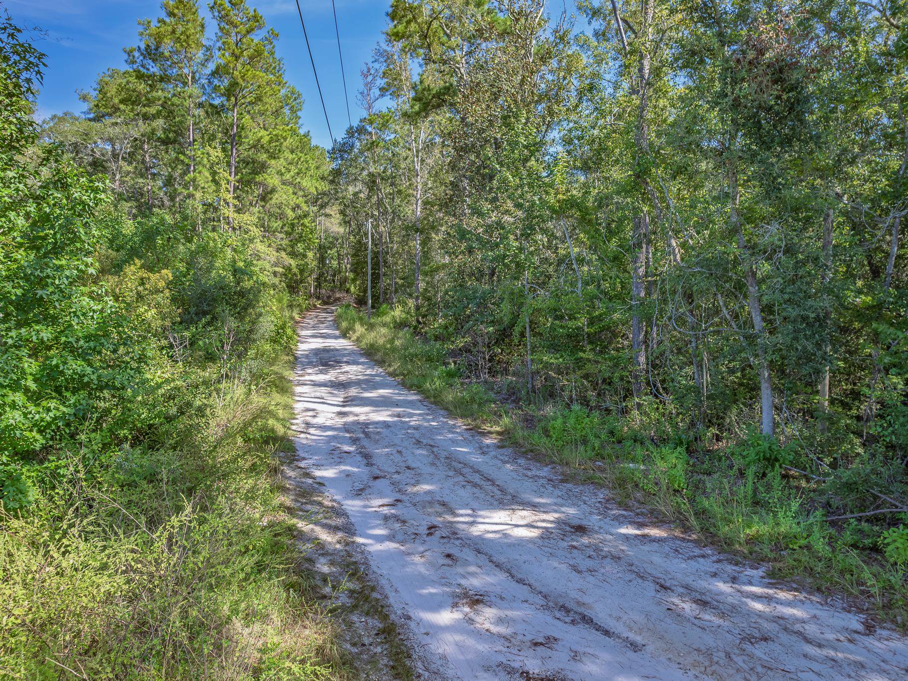 Eastwood Road Monticello, FL 32344 - Photo 19 of 20 Gallery Image 19