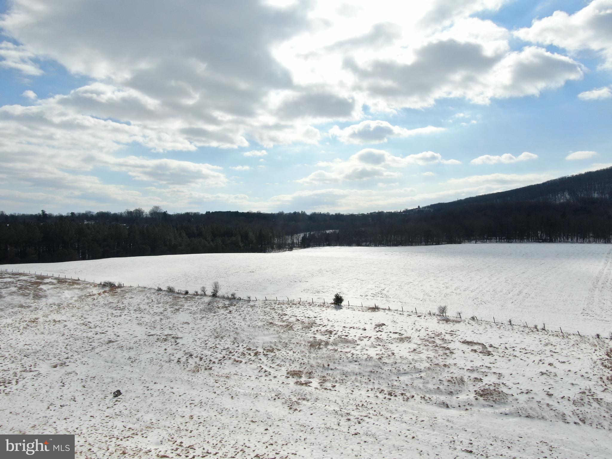 16751 Scott Road Emmitsburg, MD 21727 - Photo 11 of 104