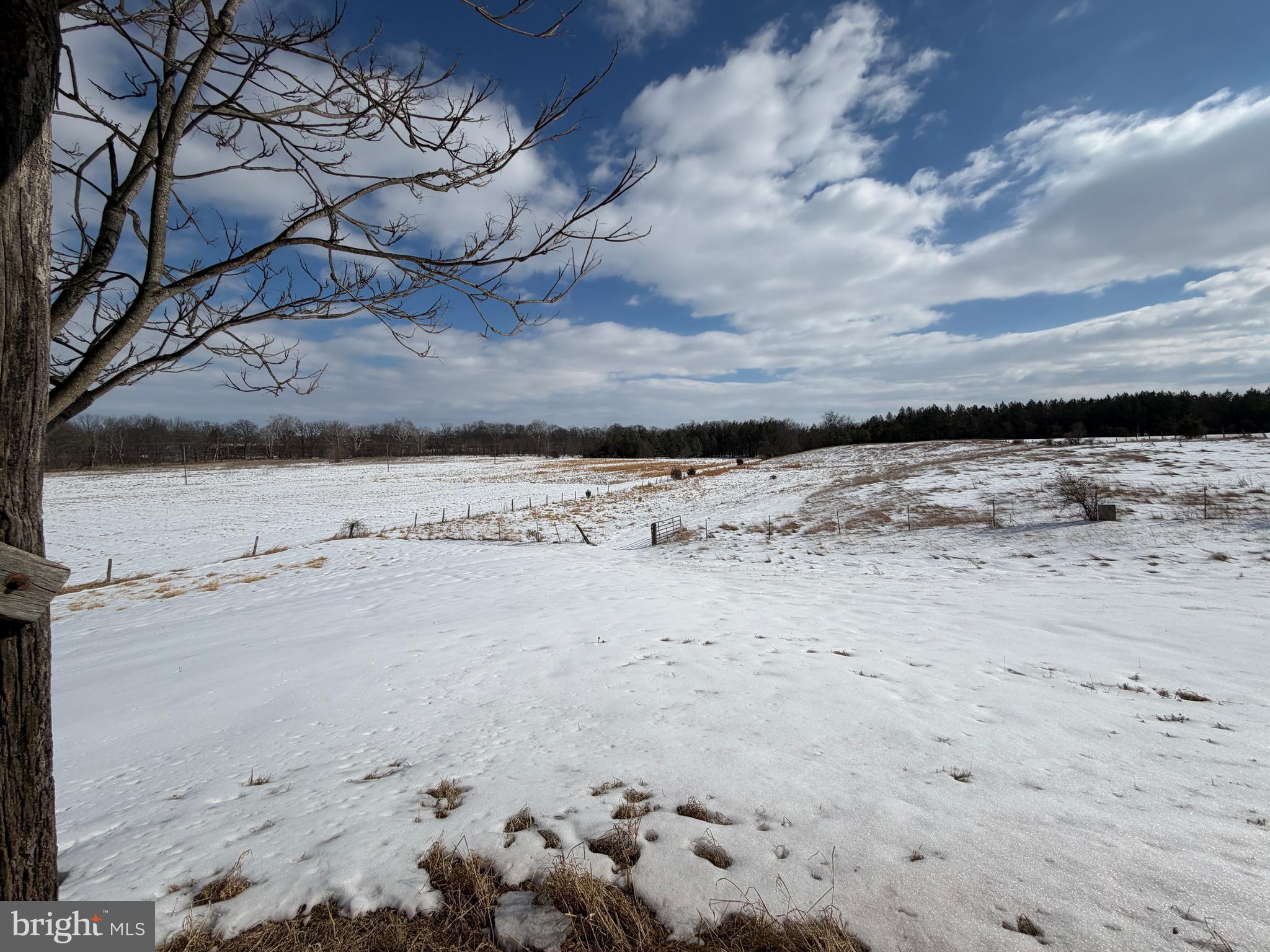 16751 Scott Road Emmitsburg, MD 21727 - Photo 32 of 104