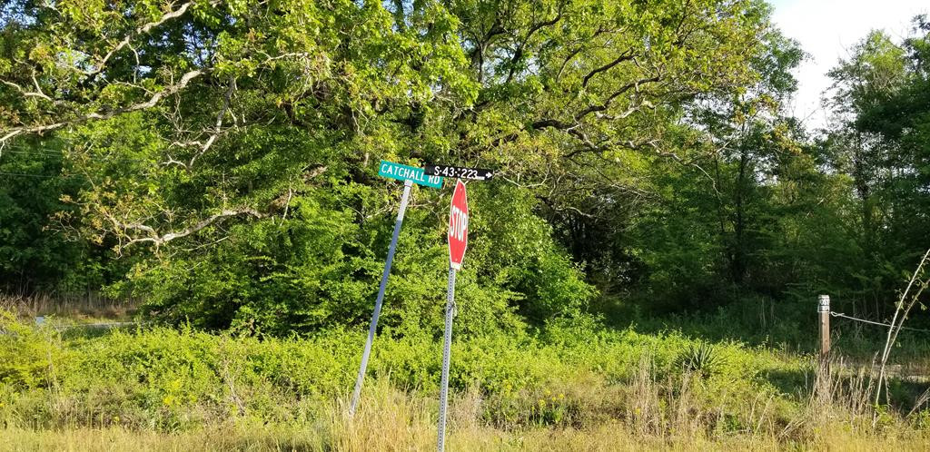 0 Kings North Highway Rembert, SC 29128 - Photo 1 of 6