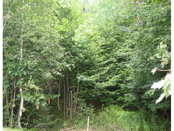L09 Buck Ridge Road Lisbon, NH 03585 - Photo 1 of 1 Gallery Image 1