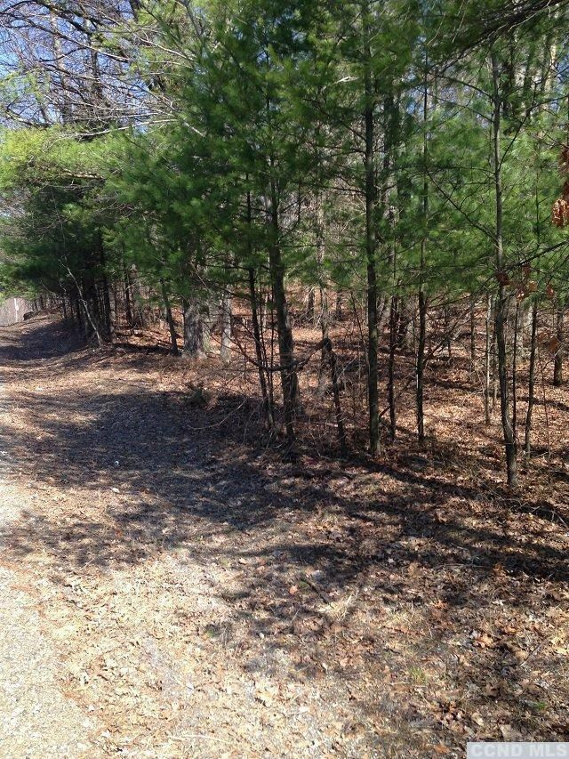 0 Boice Road Milan, NY 12571 - Photo 3 of 5 Photo 3