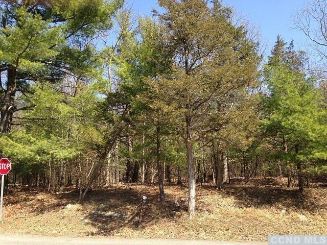 0 Boice Road Milan, NY 12571 - Photo 4 of 5 Photo 4