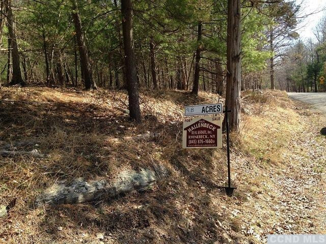 0 Boice Road Milan, NY 12571 - Photo 5 of 5 Photo 5