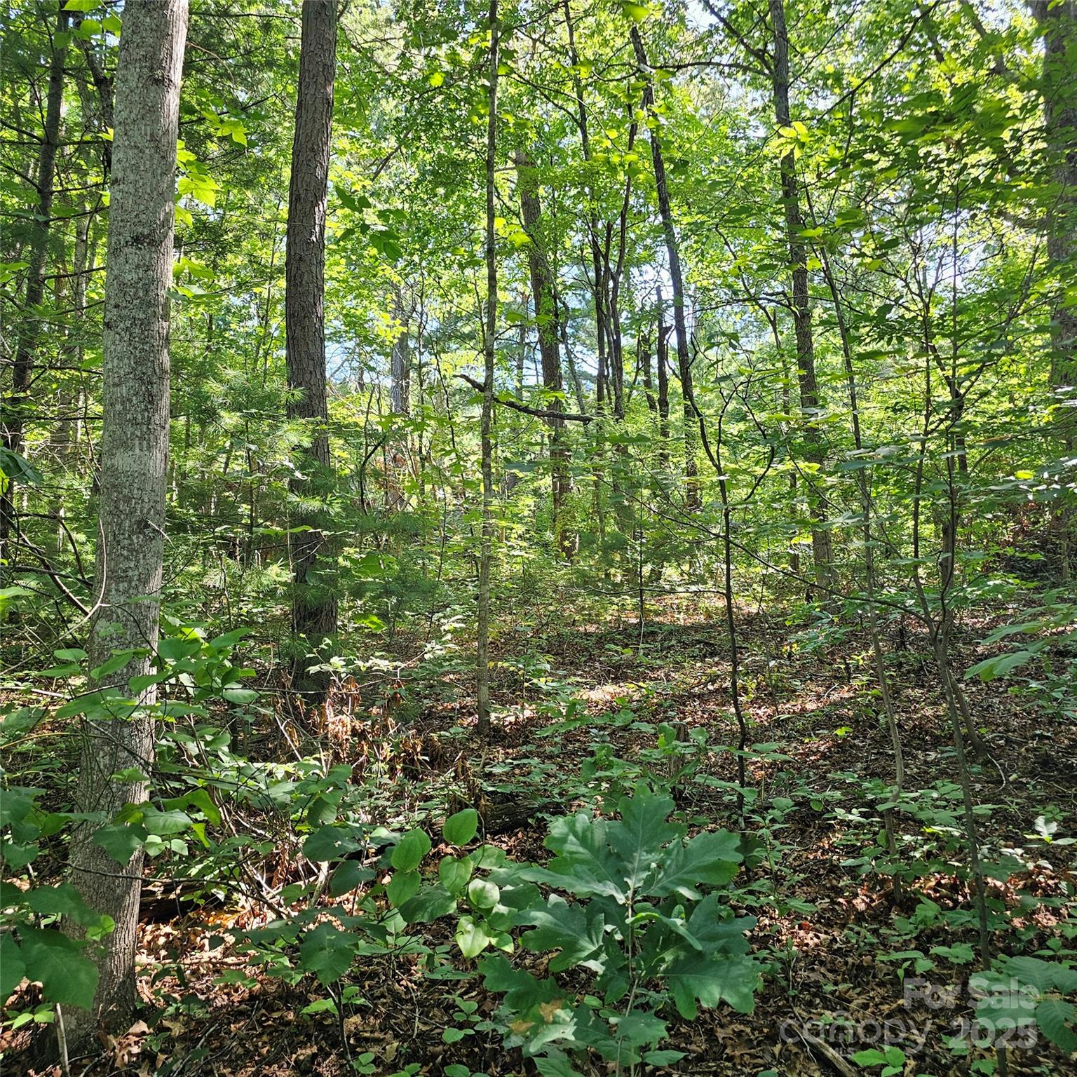 99999 Campground Road Asheville, NC 28805 - Photo 2 of 3