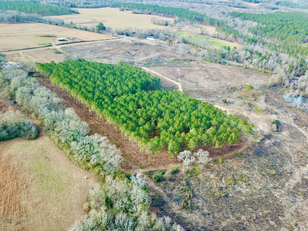 20-acres Hudson Road Columbia, AL 36319 - Photo 26 of 40